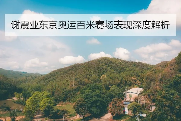谢震业东京奥运百米赛场表现深度解析